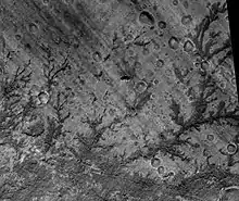 Inverted stream channels in Antoniadi Crater in Syrtis Major quadrangle, as seen by HiRISE.