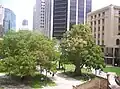 ANZAC Square — showing Anzac Square Arcade at right side of image