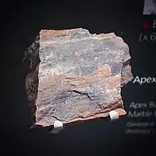 A specimen of Apex chert.