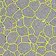 Microscopy image of grains of a material with boundaries displayed in yellow overlay