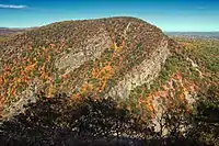 Mountain covered in trees in fall colors