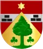 Coat of arms of Appelscha