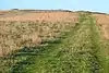 Burghclere Beacon