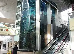 Aquarium at a shopping mall in Kaunas, Lithuania