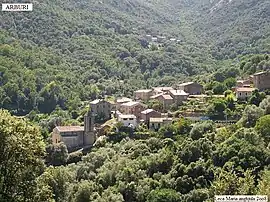 Arbori Village