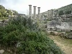 The Temple of Apollo