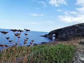 A natural grey rock arch juts out of the ocean on the right, with brownish flowers in the extreme foreground on the left. Very blue sky and sea.