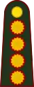 Teniente general(Argentine Army)