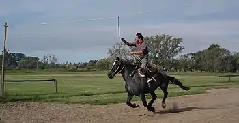 A modern-day gaucho takes a stab at Carrera de sortija (ring-spearing contest)