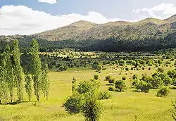 Photograph of a grassy landscape dotted with trees, with woodland and grassy hills in the background