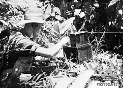 An unidentified Australian soldier operating an Army No. 208 Wireless Set in the jungle. This small and easy to set up wireless set was standard equipment for Commandos and Patrols.