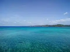 Coral reef at Roatán