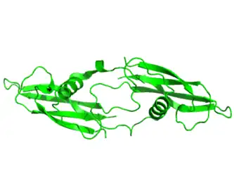 Tertiary structure of human artemin (PDB: 2GYR) rendered using PyMOL (Delano Scientific Freeware)