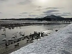 The tidal flats of Asadokoro