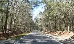 Ashley River Road