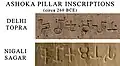 Ashoka pillar inscriptions