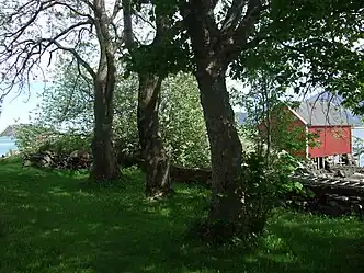 Part of the old garden at Løvøy
