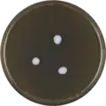 Aspergillus restrictus growing on MEAOX plate