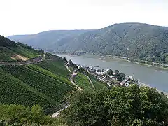 Rheingau valley with the Rhine