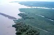 Aerial view of the Big Island Mining Project restoration site on Atchafalaya Bay.