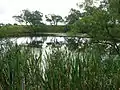 The flooded Auchenmade claypit.