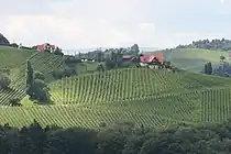 South-Styrian wine hills