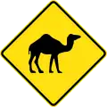 (W5-44) Camels crossing