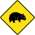 (W5-48) Wombats Crossing