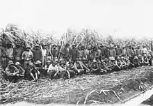South Sea Islander men standing infront of a row of sugarcane.