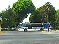 RUTA bus