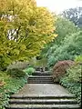 Azalea Dell, Dartington Hall Gardens