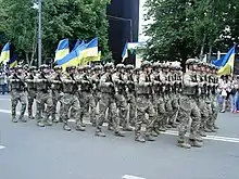 Soldiers of the National Guard of Ukraine wearing MultiCam in a military parade