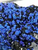 Azurite from the Kelly Mine (2010)