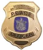 Wallet badge of the CVSE