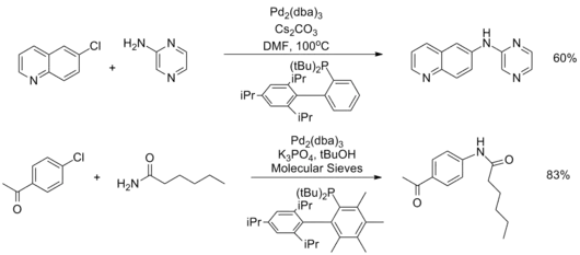 Heteoaryl and amide substrates in the Buchwald–Hartwig amination