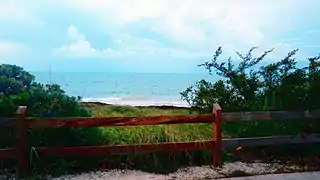 Morning view of beach