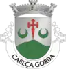 Coat of arms of Cabeça Gorda