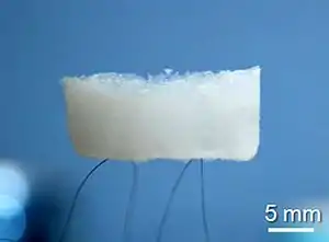 An aerogel held up by hair. (Scientific Reports)