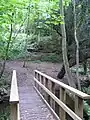 Wooden bridge over the Snowdon Brook.