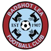 Club crest