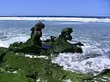 Landing craft wreckage on Baker Island coast