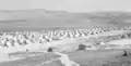 Balata, 1950; the refugees were still living in tents