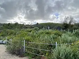 Baldwin Hills landscape from Stoneview Nature Center