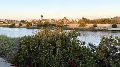 Ballona Creek looking toward Playa Vista