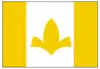 Flag of Itaueira