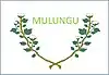 Flag of Mulungu, Paraíba