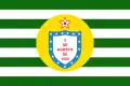 The Paraíba flag used from (1907–1922)