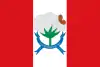 Flag of Nova Olinda, Paraíba