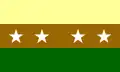 Flag of Bagaces
