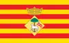 Flag of Sant Joan Despí